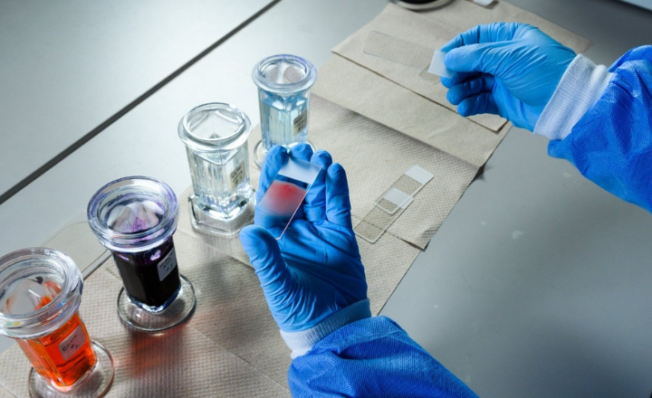 What Is Biomedical Engineering?